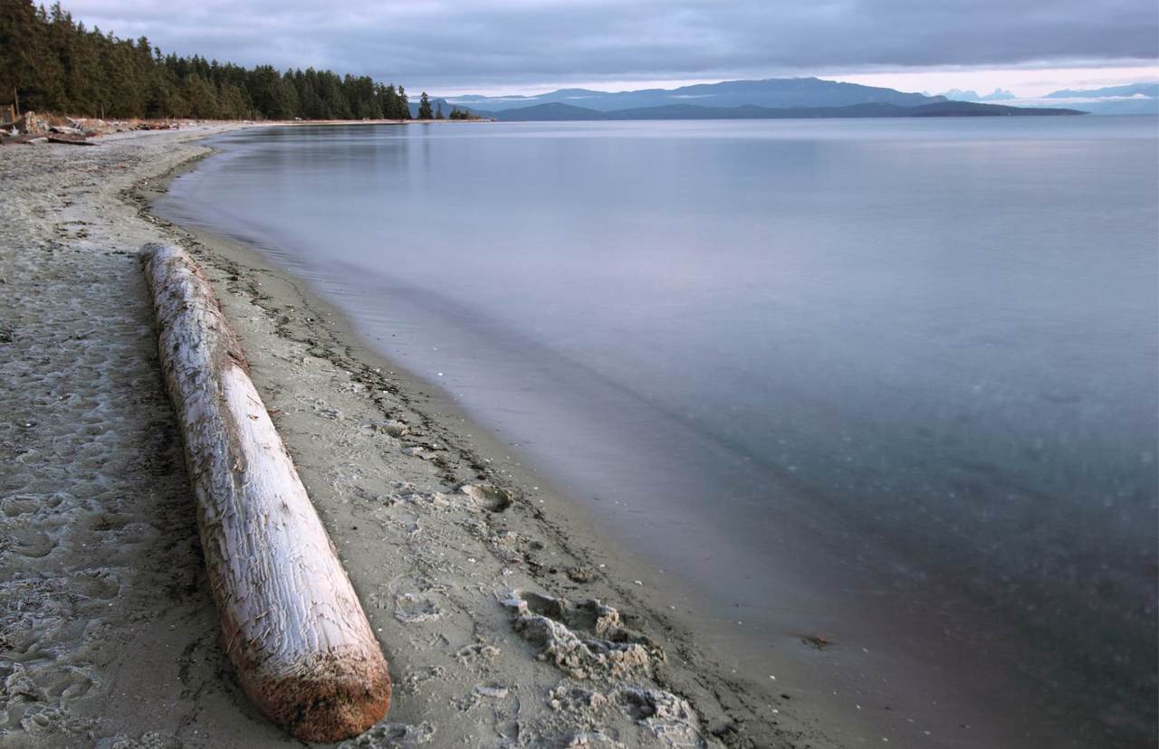 A bleached driftwood log lying on wet sand at the tide line, the water smoothed flat by a long exposure, with a forested point to the left and low mountains across the water under overcast light.